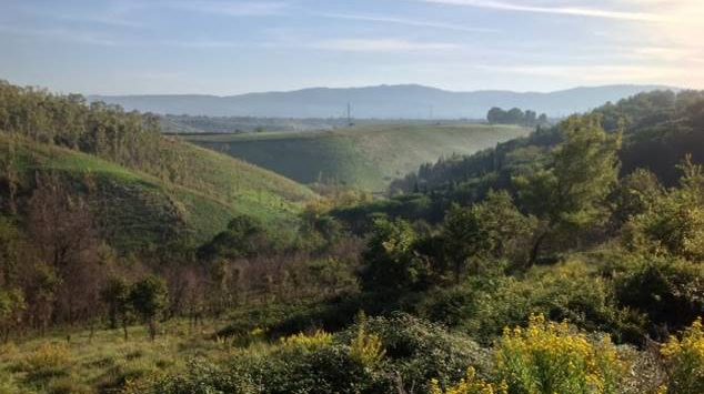 Eco-distretto a Sant’Onofrio, Sinistra Italiana fissa i “paletti” del progetto
