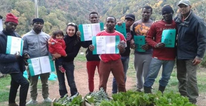Migranti e agricoltura sociale, a Vallelonga si fa integrazione partendo dalla terra