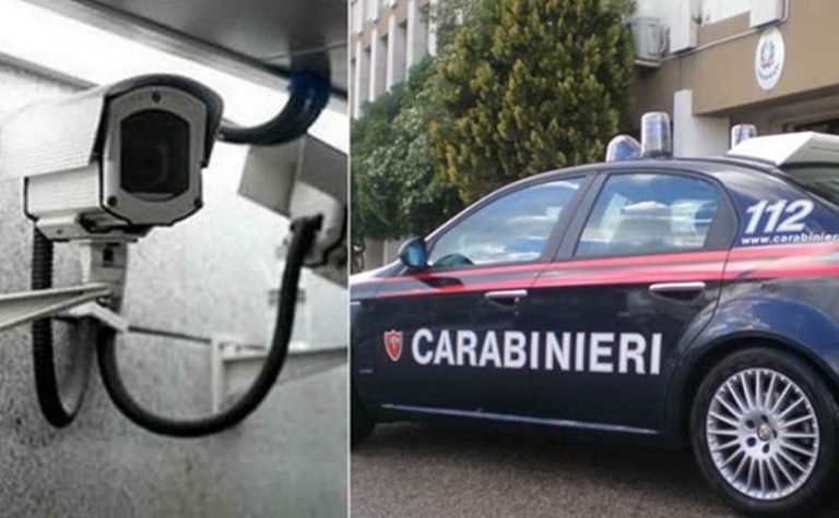 Telecamere per spiare i dipendenti e trasporto di alimenti fuorilegge nel Vibonese