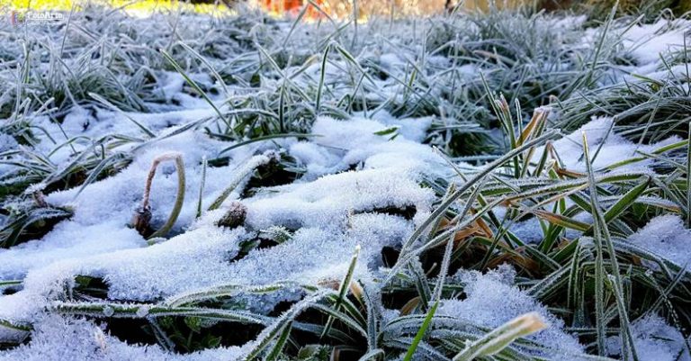 Calabria sferzata dal gelo di “Thor”, nel Vibonese toccati nella notte i -6°