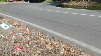 Rifiuti sulle strade del Vibonese, Paolillo (Wwf): «Non tagliate le erbacce, coprono il degrado»