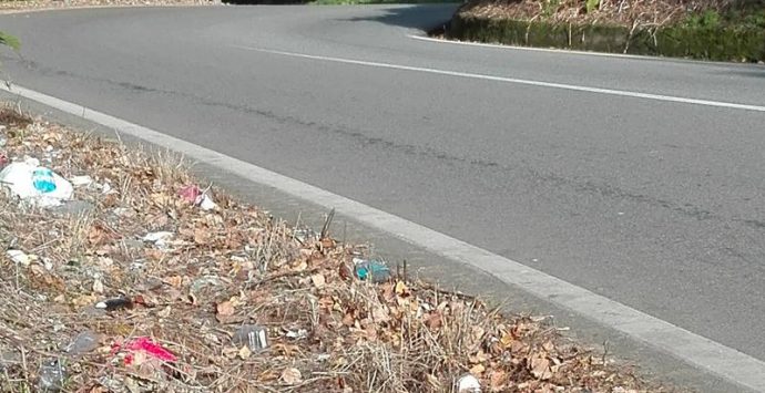 Rifiuti sulle strade del Vibonese, Paolillo (Wwf): «Non tagliate le erbacce, coprono il degrado»