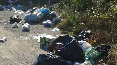 Rifiuti abbandonati a Vibo, l’appello dell’assessore Russo: «Aiutateci a fermare gli incivili»