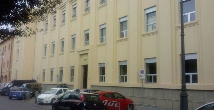 Taglia alberi nel Parco delle Serre, arresto convalidato e scarcerato