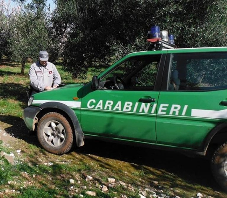 Lavori abusivi a Zambrone con sbancamento di un costone, tre denunce