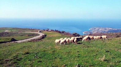 Rombiolo, associazioni ed enti celebrano la ricchezza del Monte Poro