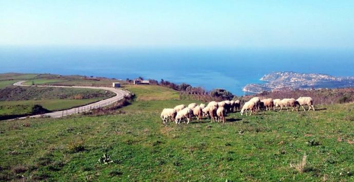 Le opportunità del Piano di azione locale del Gal, doppio incontro a Vibo e Brivadi