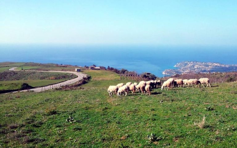 Rombiolo, associazioni ed enti celebrano la ricchezza del Monte Poro