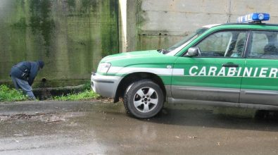 Reati ambientali: sequestrato un autolavaggio a Soriano Calabro
