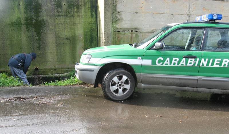 Carabinieri-forestali a SPilinga