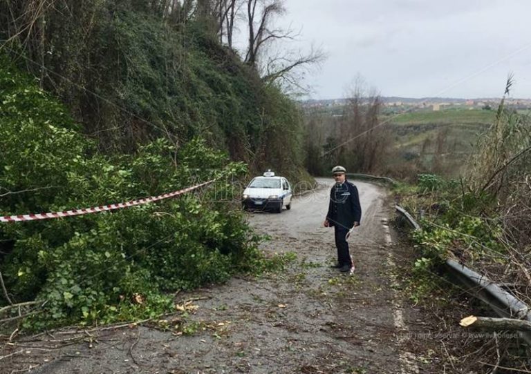 Maltempo nel Vibonese, frana si abbatte sulla provinciale Mileto-Dinami