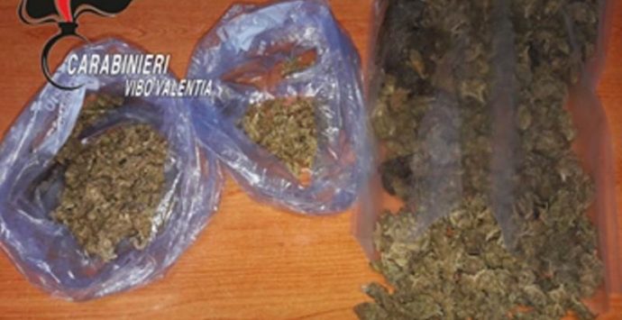 Deteneva marijuana in camera da letto, un arresto a Nicotera (VIDEO)