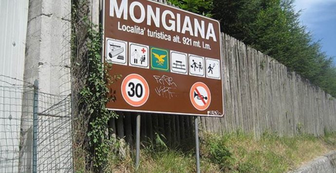 Asta per 861 pini larici, il Comune di Mongiana: “Taglio necessario per favorire altre specie”