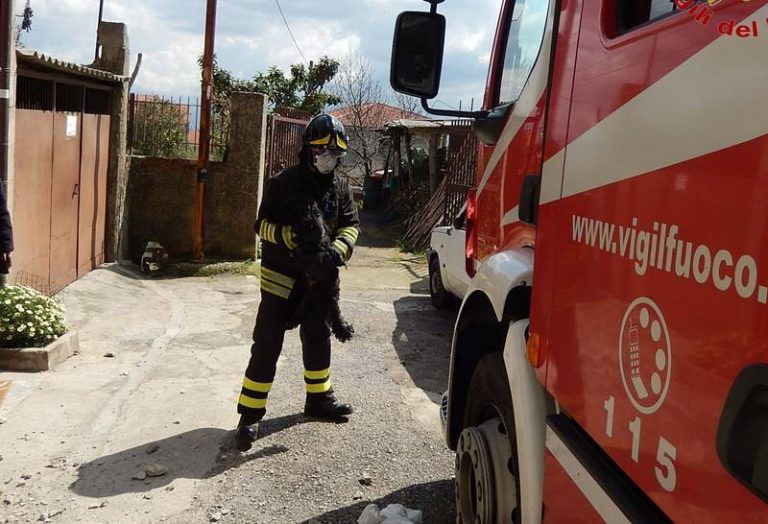 Paura a Mileto, incendio distrugge abitazione: i Vigili del fuoco salvano un cagnolino