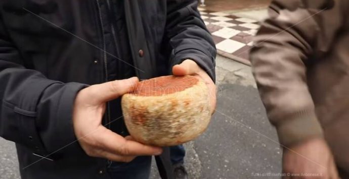 “U ruaju”, così a Dasà rivive l’antica usanza del lancio del formaggio (VIDEO)
