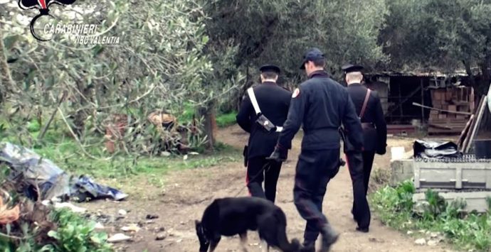 ‘Ndrangheta: operazione nel Vibonese, provvedimento di fermo contro i Soriano (NOMI e VIDEO)