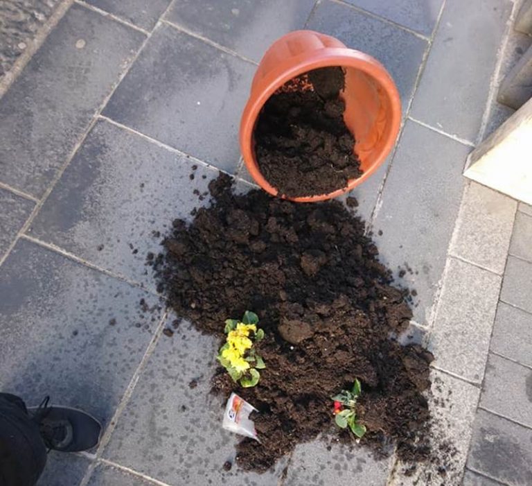 Vandali in azione a Vibo, vasi con i fiori rovesciati sul Corso