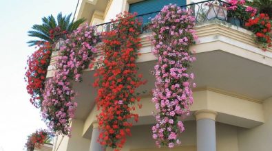 A Vibo sfida con piante e fiori: al via il concorso “Balconi di primavera”
