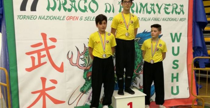 Wushu Kung fu, nuovo successo per il promettente atleta vibonese Nicola Farfaglia – Video