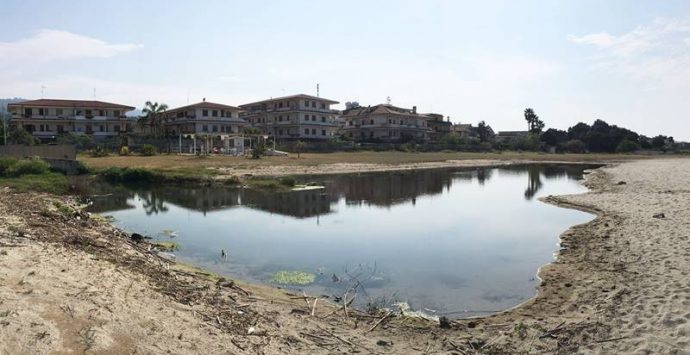 Sterpaglie e degrado deturpano la città e a Bivona è invasione di rane (VIDEO)
