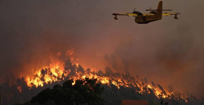 «Territorio impreparato a fronteggiare gli incendi», l’allarme della Flai-Cgil di Vibo