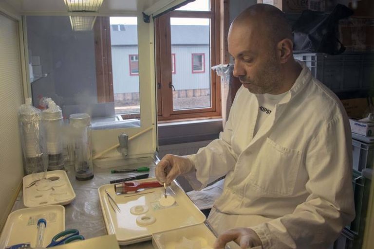 Il vibonese Massimiliano Vardè a capo della base scientifica in Artico del Cnr (VIDEO)