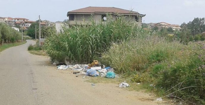 Rifiuti abbandonati a Ionadi, Amministrazione e cittadini insieme per ripulire le strade