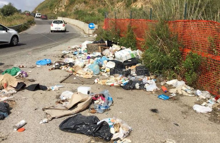 Discariche e sterpaglie, sopralluogo lungo la provinciale Vibo-Stefanaconi