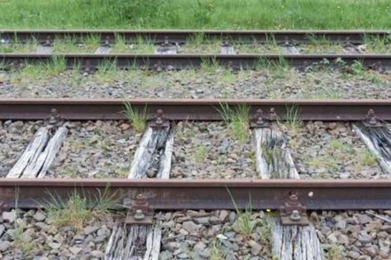 Stazione di Francavilla Angitola, dove i treni non fermano più (VIDEO)