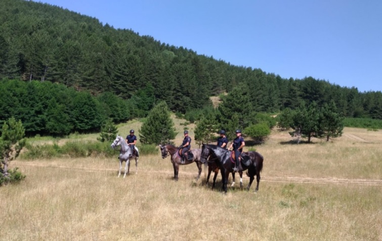 Controllo del territorio, a Serra San Bruno arrivano i carabinieri a cavallo (VIDEO)