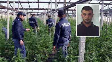 Narcotraffico: “Giardini segreti”, chieste dieci condanne