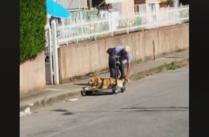 Ogni giorno porta il cane malato a spasso su un carrello, la sua storia commuove il web (VIDEO)