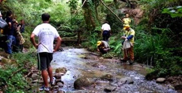 Fiumara Ruffa a Ricadi, Legambiente: “Acque inquinate e zona in pericolo”