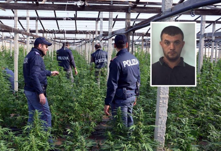 Narcotraffico: operazione “Giardini segreti”, chiuse le indagini