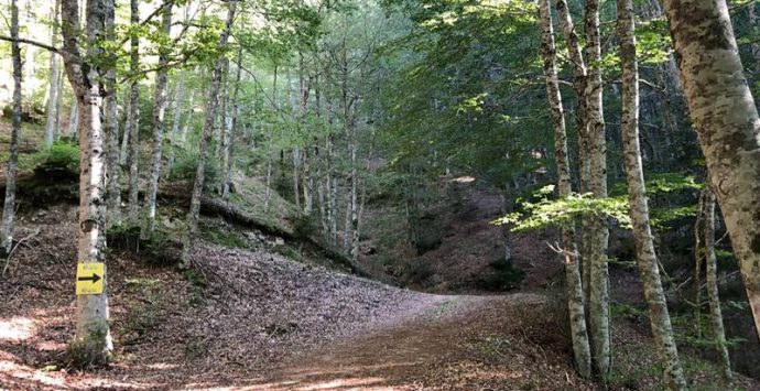 Al via “Serremarathon”, sfida tra i boschi in sella alle mountain bike