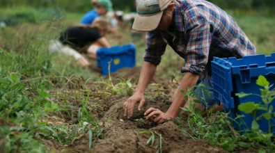 Agricoltori senz’acqua nel Briaticese: conclusi i lavori di ripristino del bypass sul Murria