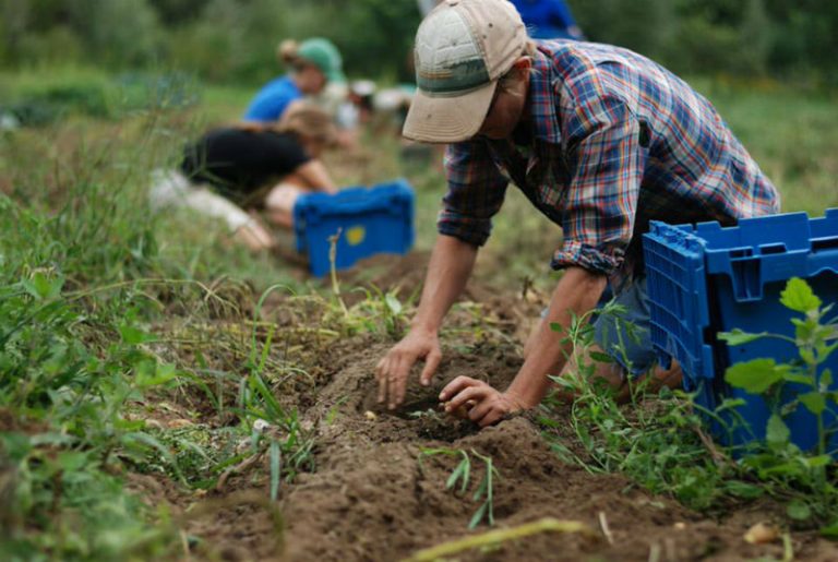 Agricoltori senz’acqua nel Briaticese: conclusi i lavori di ripristino del bypass sul Murria