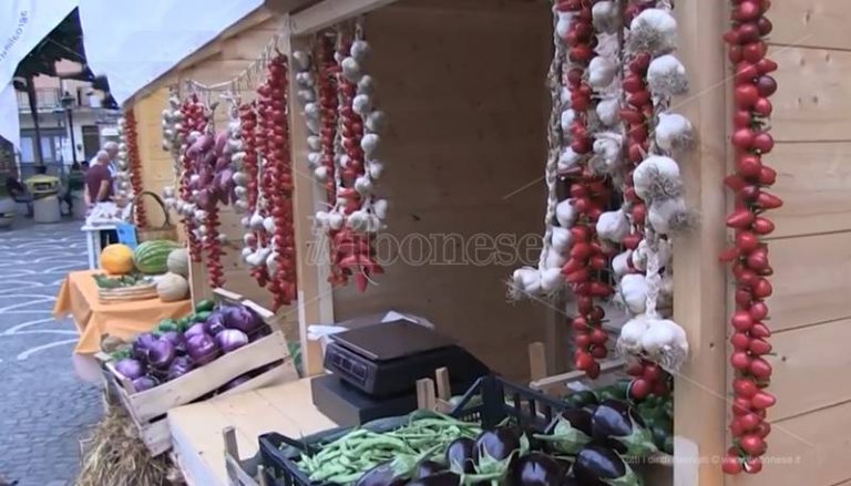 Gli antichi sapori di scena al Mediterranean food & art festival di Stefanaconi (VIDEO)