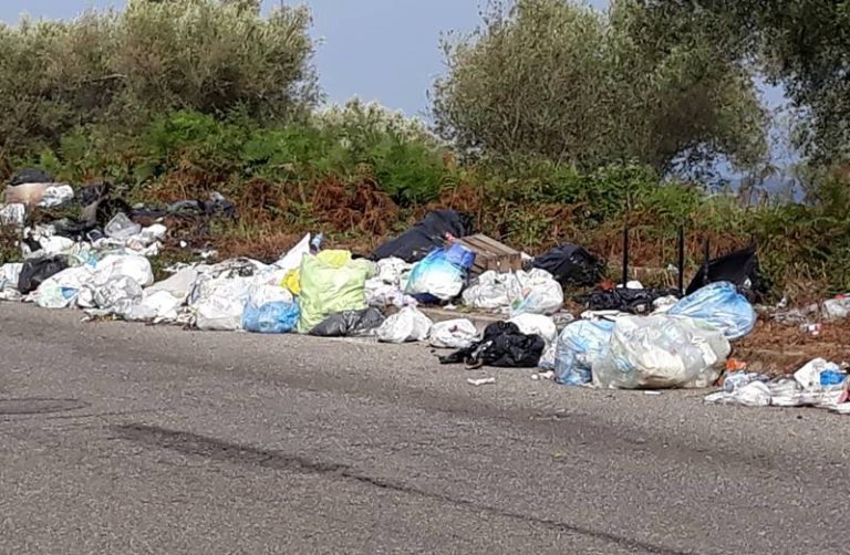 Caos rifiuti a Vibo, Slai Cobas all’attacco: «Silenzio assordante da ditta e sindaco»