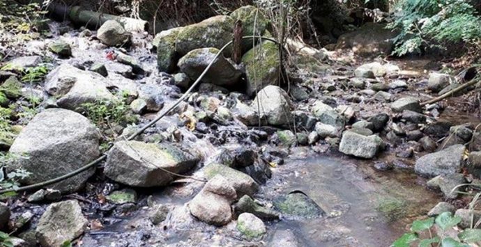 “Bomba ecologica” a Coccorinello, individuato impianto di sollevamento mai entrato in funzione (FOTO)