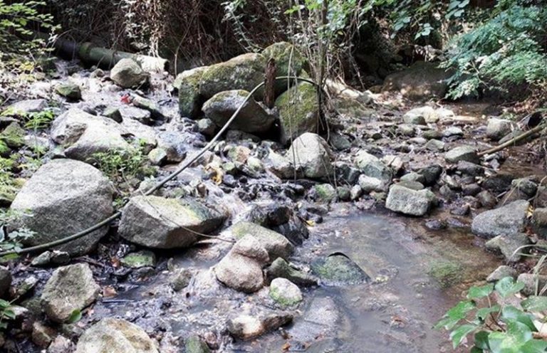 “Bomba ecologica” a Coccorinello, individuato impianto di sollevamento mai entrato in funzione (FOTO)