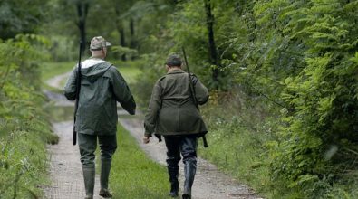 Federcaccia Vibo contro il Wwf: «Nostra attività non ha nulla a che vedere col Covid»