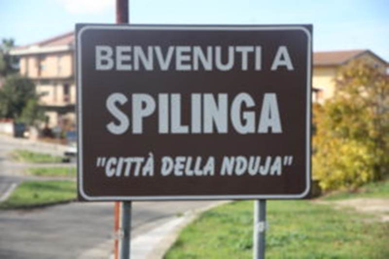 Comune Spilinga: contro gli incivili arrivano videosorveglianza e foto trappole · Il Vibonese