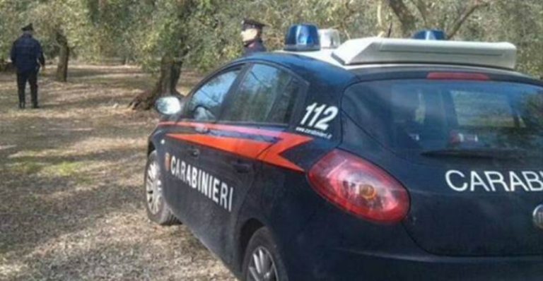 Combustione illecita di rifiuti, una denuncia a Maierato