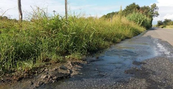 Vibo: “bomba” ecologica lungo la provinciale Triparni-Porto Salvo (VIDEO)