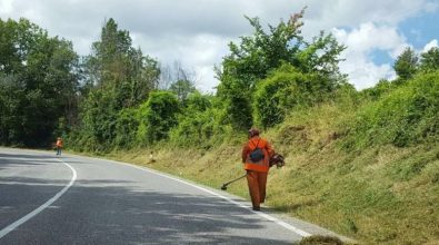 Strade “giungla” nel Vibonese, protocollo d’intesa tra Provincia e Calabria Verde