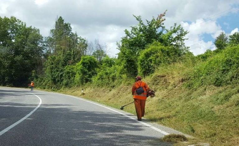 Strade “giungla” nel Vibonese, protocollo d’intesa tra Provincia e Calabria Verde