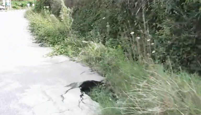 Piscopio, la frazione è abbandonata e le strade diventano una trappola (VIDEO)