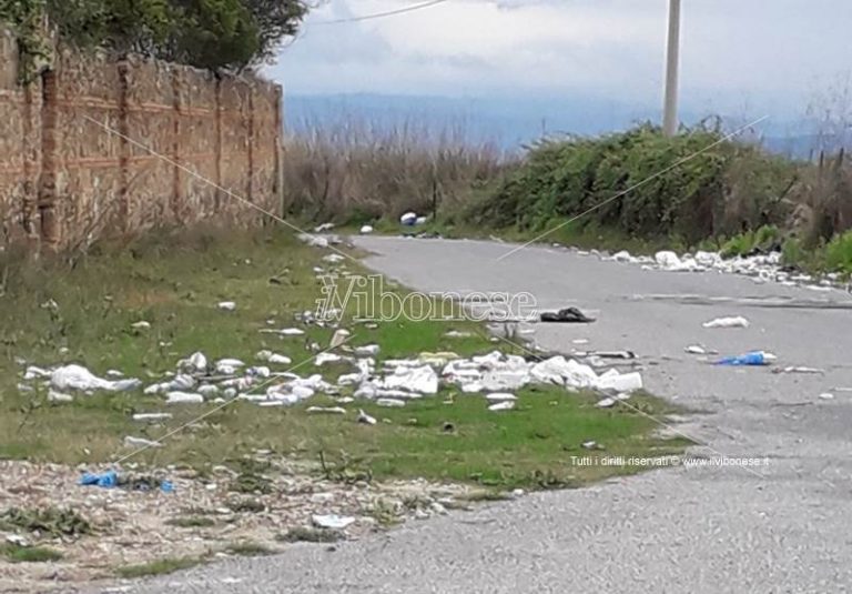 Rifiuti e degrado nell’area del cimitero di Vibo Valentia – Foto