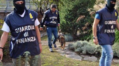 Narcotraffico dal Vibonese: in 26 colpevoli in Cassazione per l’operazione Stammer